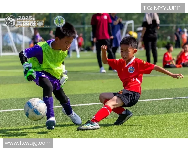 从小球场到世界舞台足球明星们的成长故事与奋斗历程
