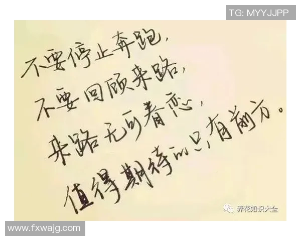 足球明星激励人生的励志图片展现奋斗精神与追梦力量 足球明星激励人生的励志图片展现奋斗精神与追梦力量