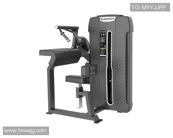 合肥健身器材市场分析与发展趋势探讨助力健康生活新选择