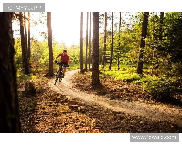 挑战极限探秘铁人三项游泳自行车长跑的艰辛历程与心路历程