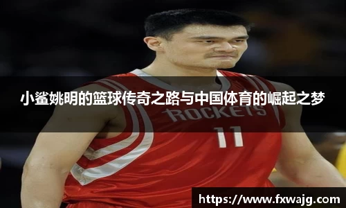 小鲨姚明的篮球传奇之路与中国体育的崛起之梦